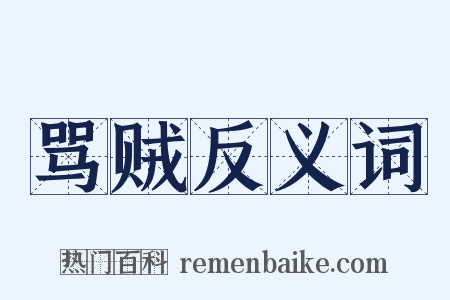 骂贼反义词是什么意思的图片
